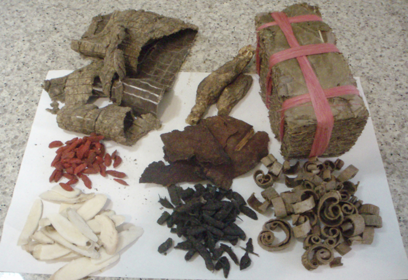 Assorted Chinese herbal medicine ingredients